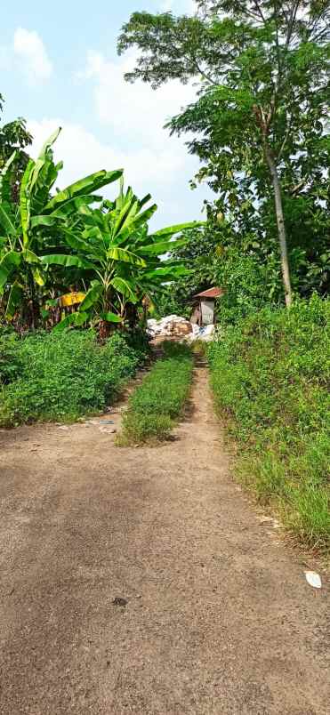 dijual tanah tambak aji