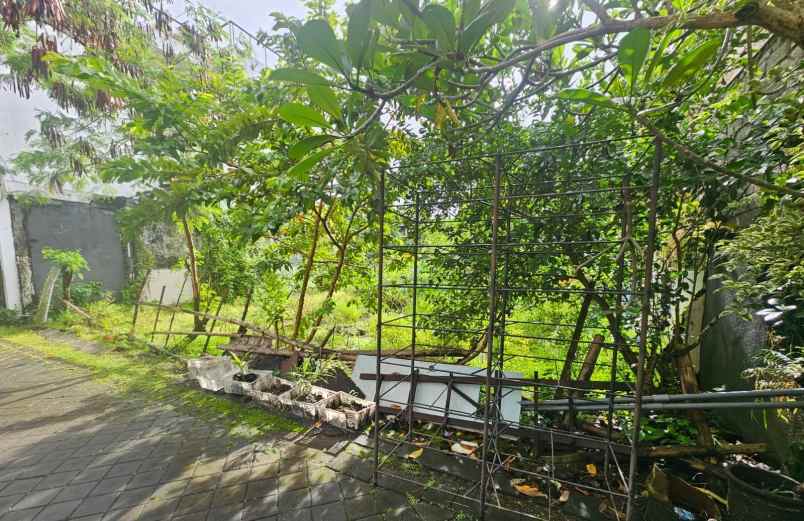 dijual tanah tegal cupek umalas