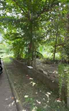 dijual tanah tegal sari