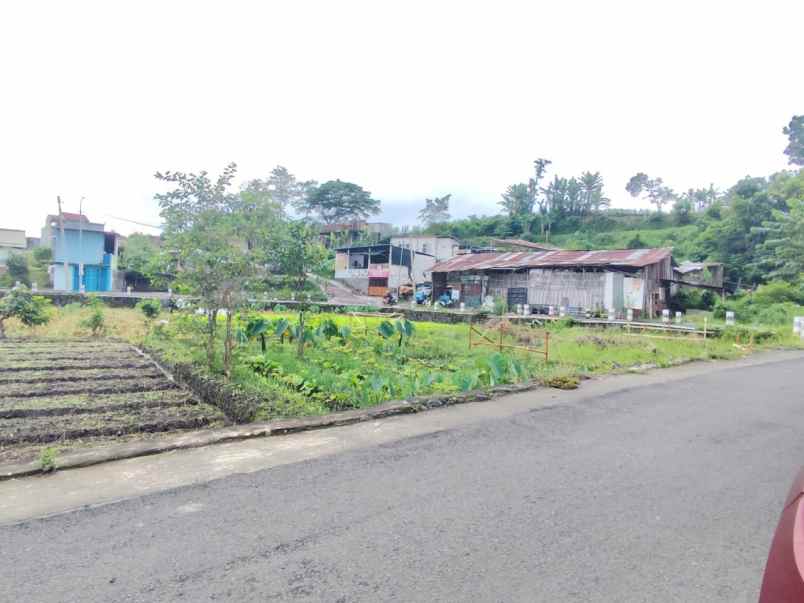 dijual tanah temas