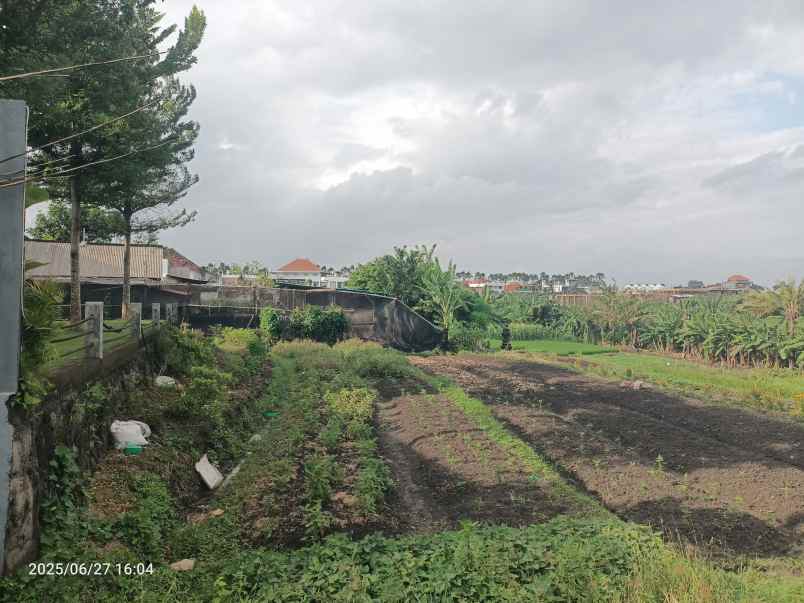 dijual tanah tumbak bayuh badung bali