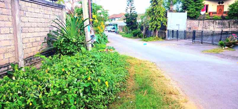 disewakan tanah area jalan cargo denpasar bali