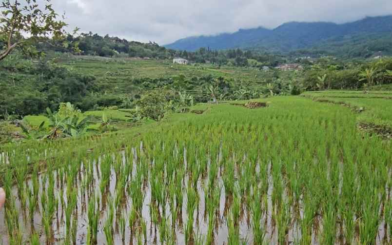 jual tanah di gunung bunder pamijahan bogor