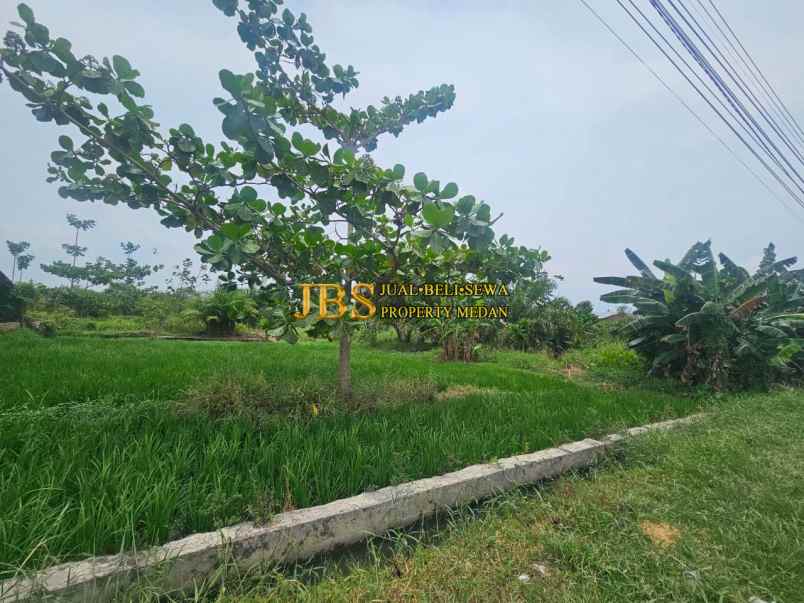 jual tanah kosong di jalan rumbia daerah batang kuis