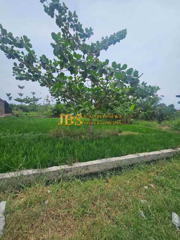 jual tanah kosong di jalan rumbia daerah batang kuis