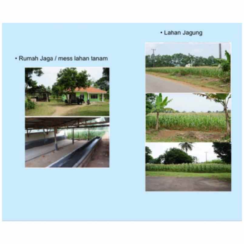 komersial pesawaran lintas barat lampung