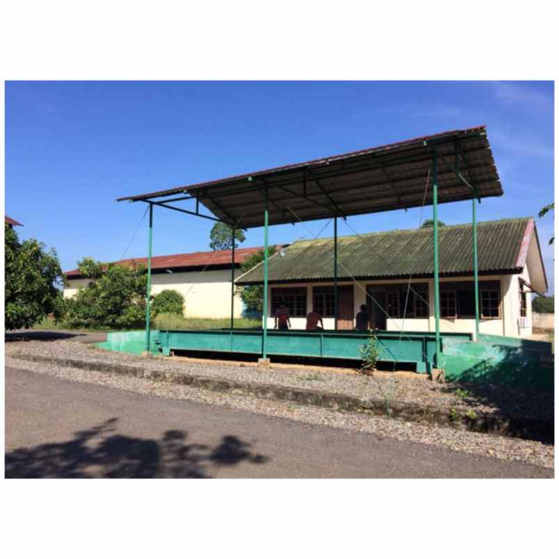 komersial pesawaran lintas barat lampung