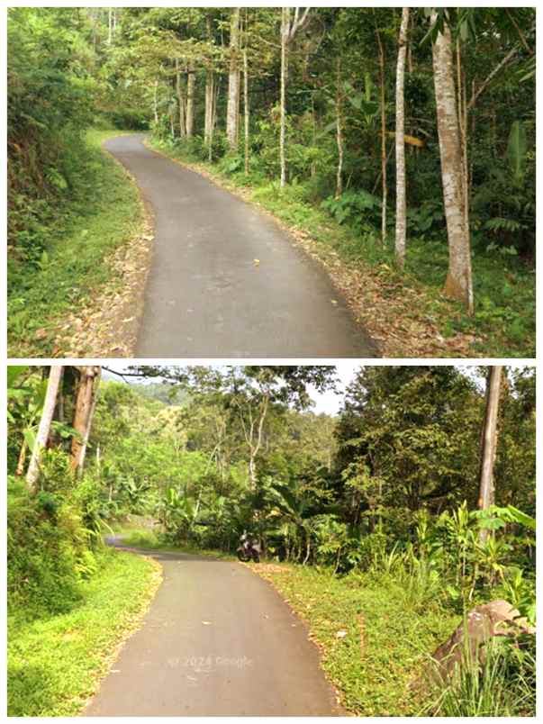 lahan 30ha untuk makam disemarang jateng 500rb m2