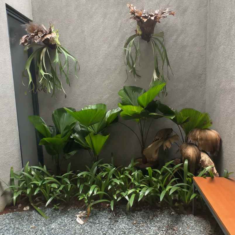 paradesa pamulang rumah cluster 2 lantai dekat bsd