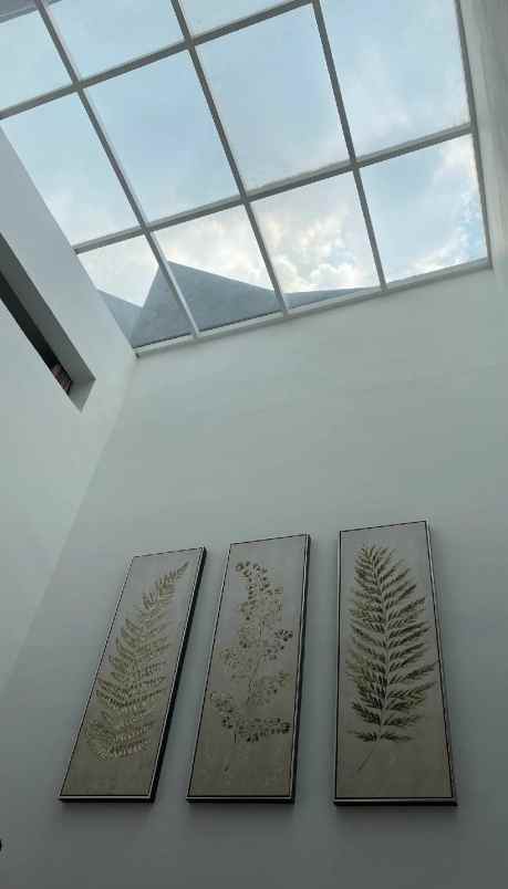 rumah bagus di bintaro sektor 9 tangerang selatan