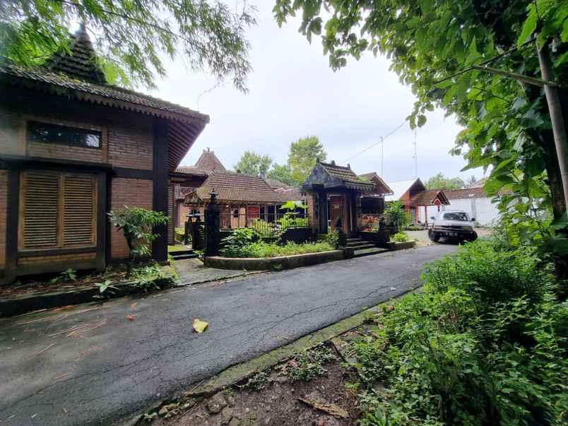 rumah besar tanah luas setengah harga di minggir