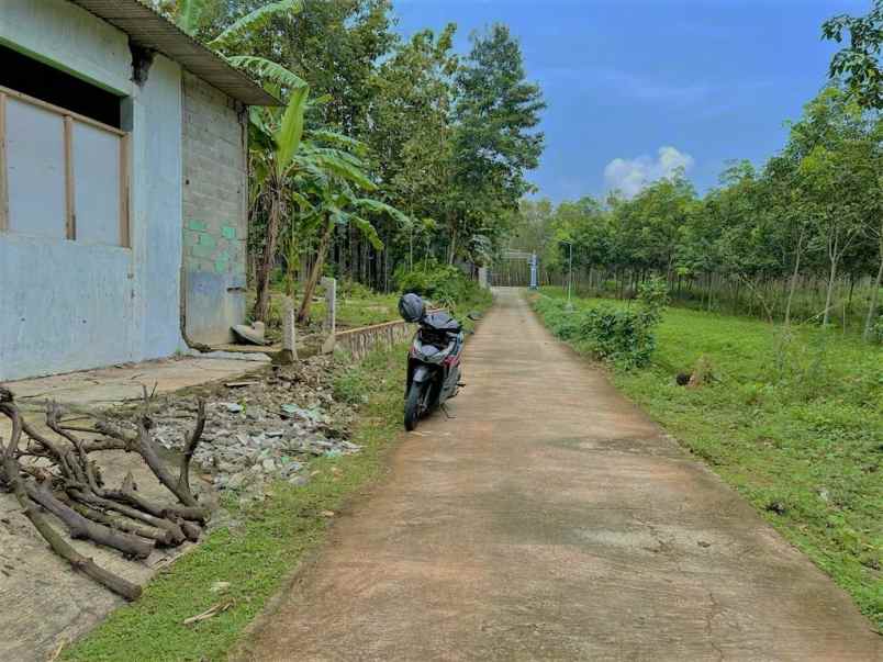 rumah strategis buka usaha kedawung sragen