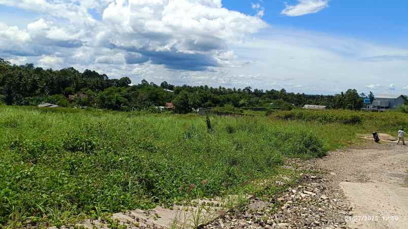 tanah 3 hektar di raden gunawan pesawaran lampung
