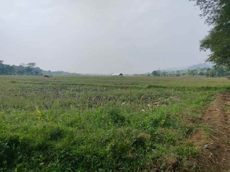 tanah 3 hektar pinggir jalan rumpin bogor