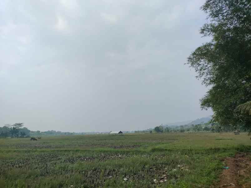 tanah 3 hektar pinggir jalan rumpin bogor