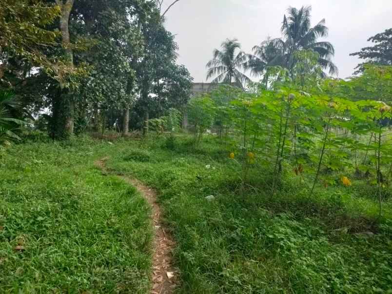 tanah 3 hektar pinggir jalan rumpin bogor