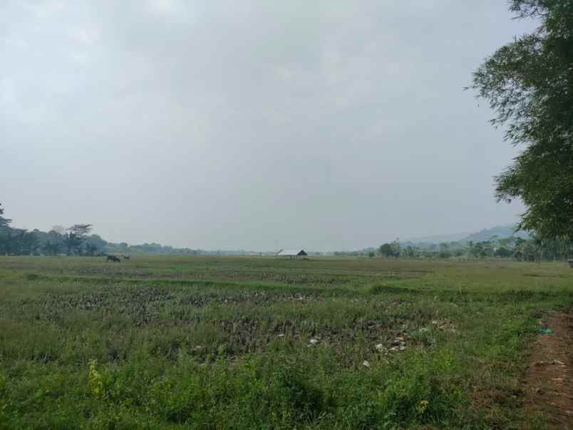 tanah 3 hektar pinggir jalan rumpin bogor