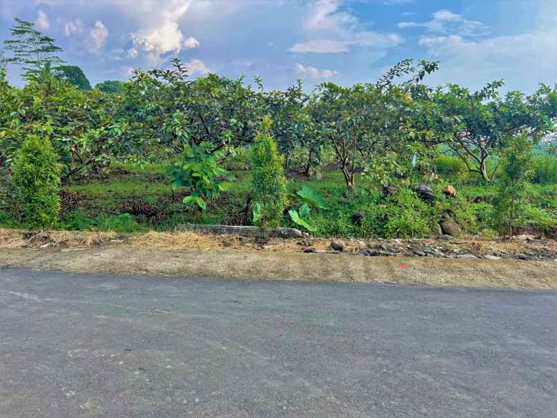 tanah 350 juta strategis kawasan wisata ngargoyoso