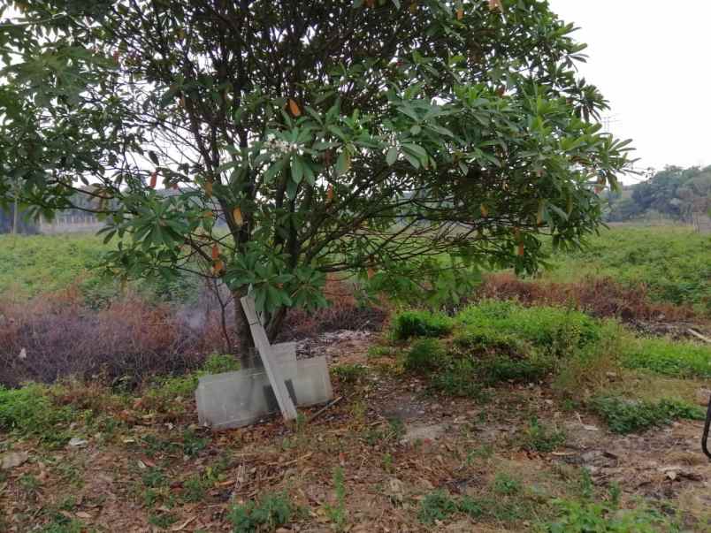 tanah ciater serpong tangerang