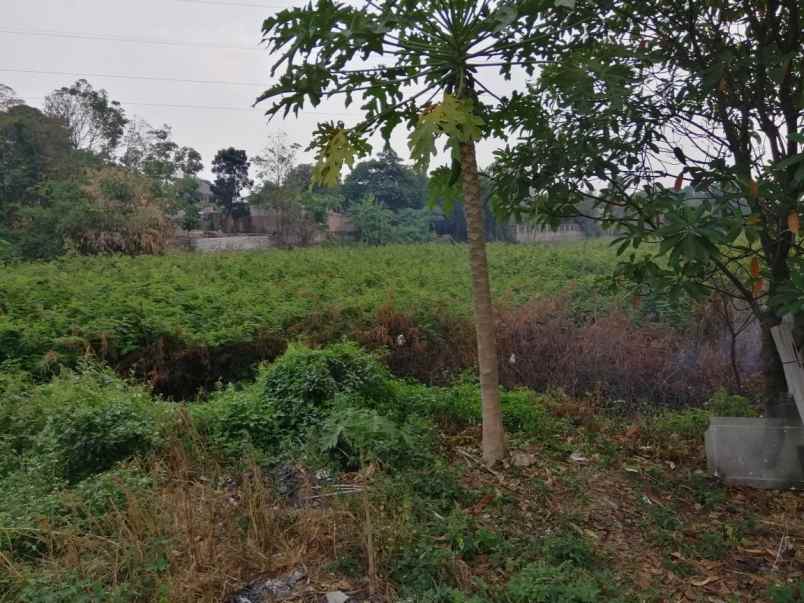 tanah ciater serpong tangerang