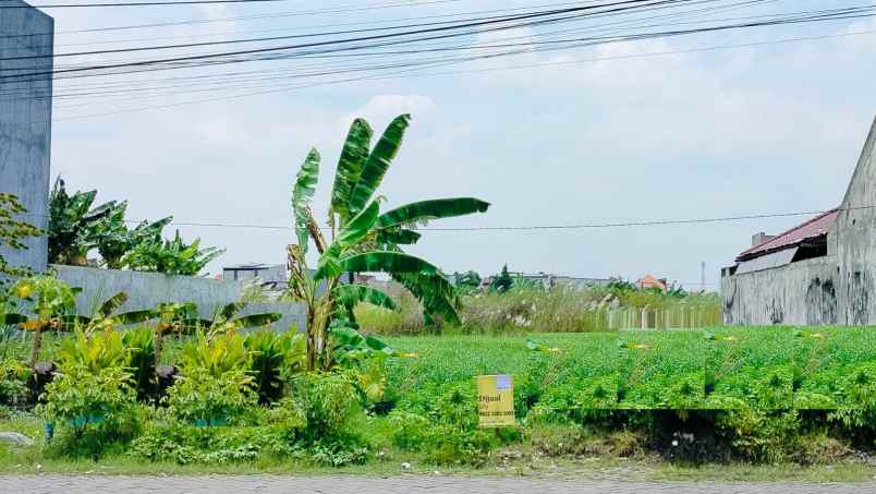 tanah dijual monginsidi bluru sidoarjo