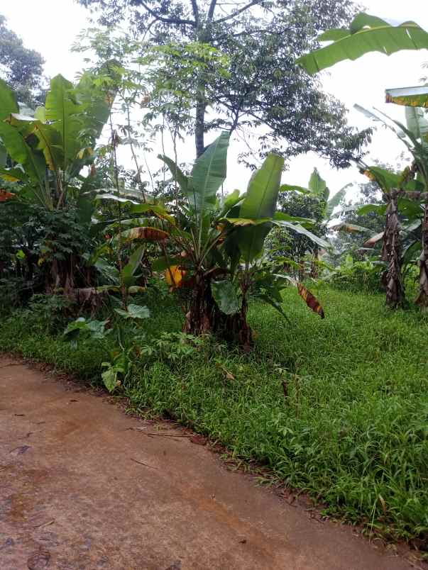 tanah dijual murah di jonggol