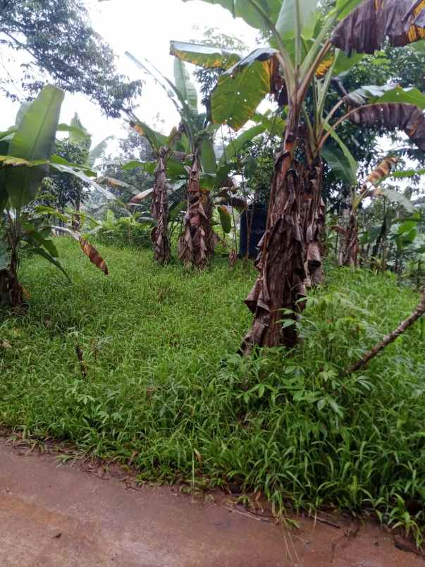 tanah dijual murah di jonggol