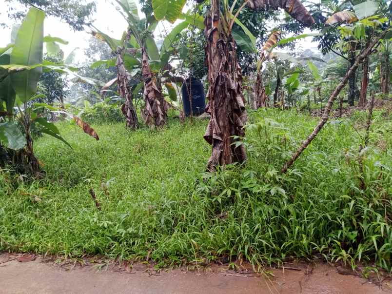 tanah dijual murah di jonggol