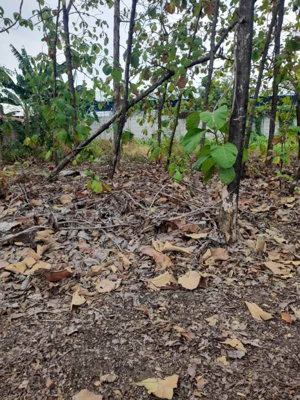 tanah harjamukti kota cirebon