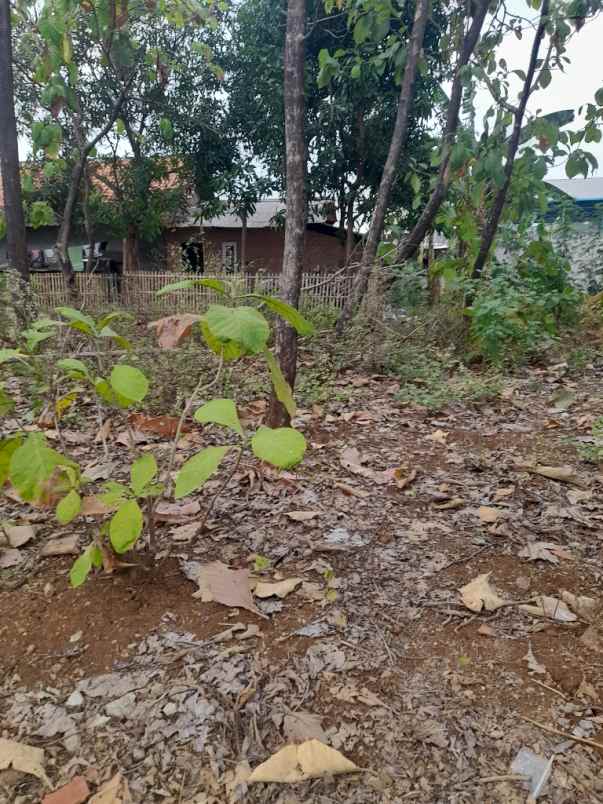 tanah harjamukti kota cirebon