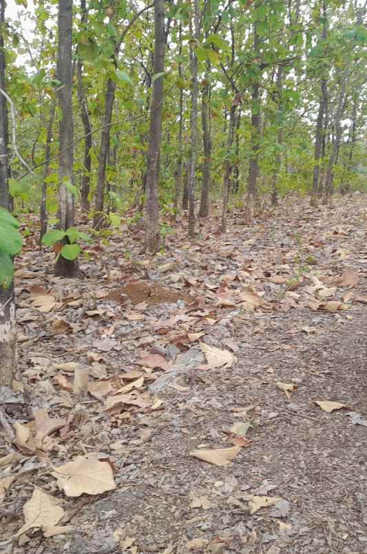 tanah harjamukti kota cirebon