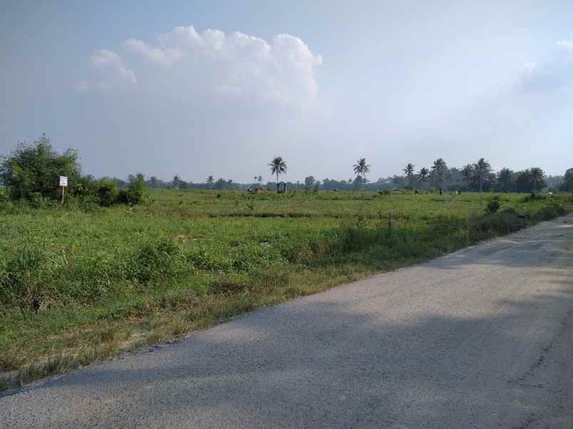 tanah jalan bandarejo rulung