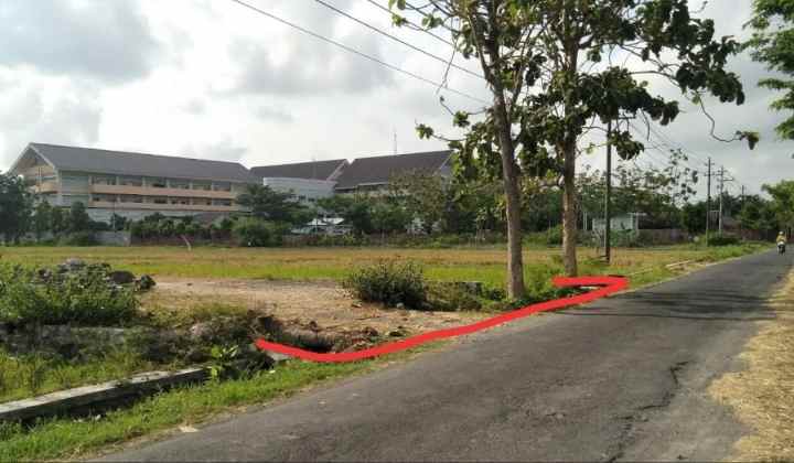 tanah jl pku gamping 50m utara