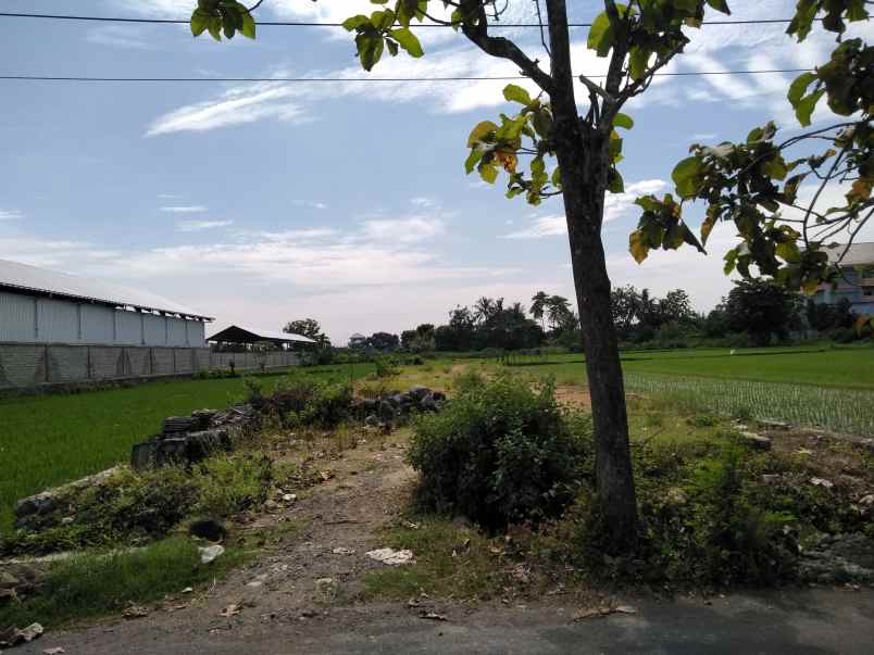 tanah jl pku gamping 50m utara