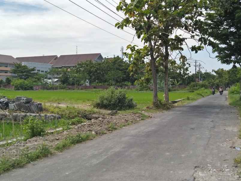 tanah jl pku gamping 50m utara