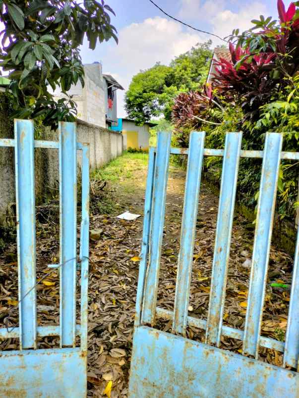 tanah jln raya mulia ciseeng bogor