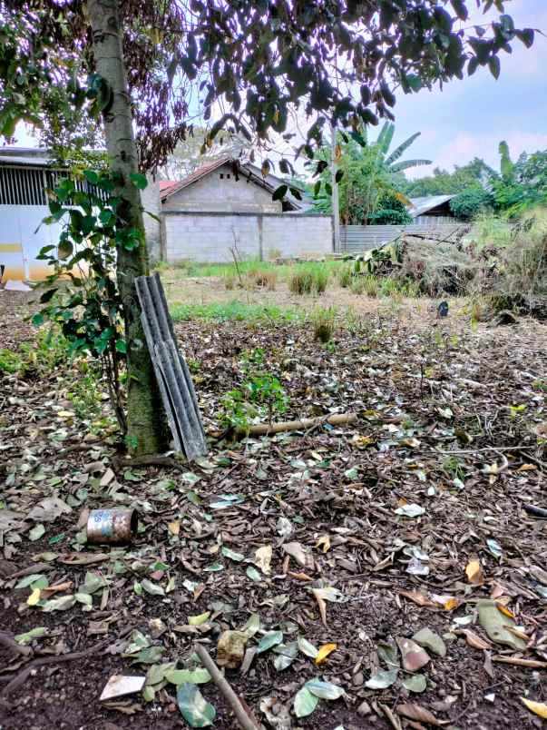 tanah jln raya mulia ciseeng bogor
