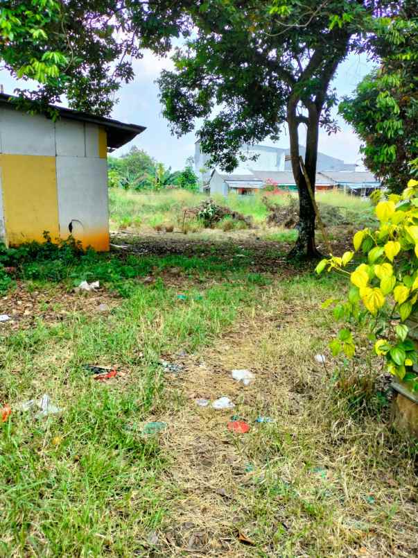 tanah jln raya mulia ciseeng bogor