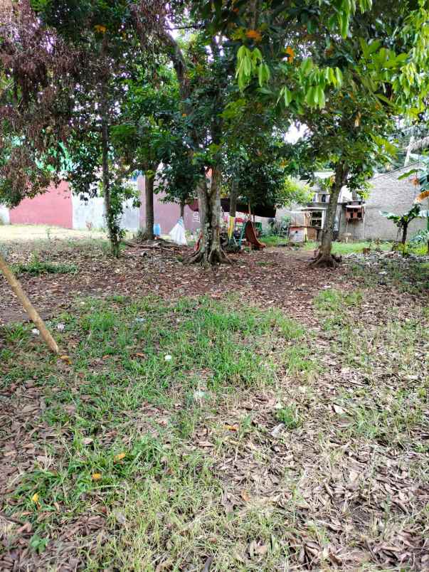 tanah jln raya mulia ciseeng bogor