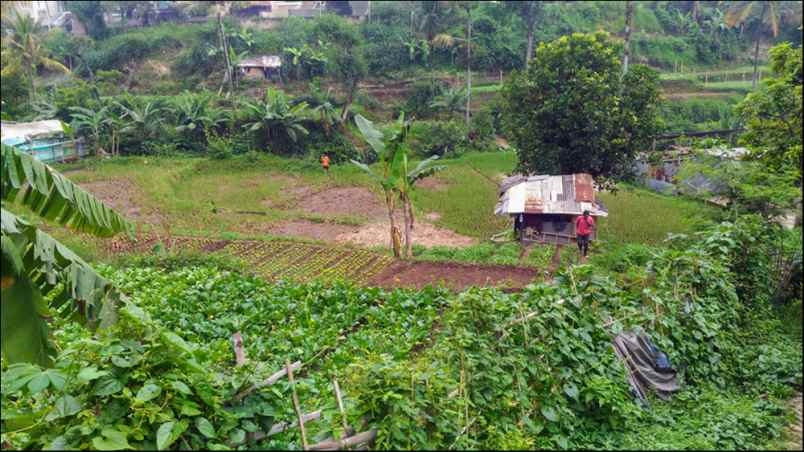 tanah kampung cibaligo rt 002