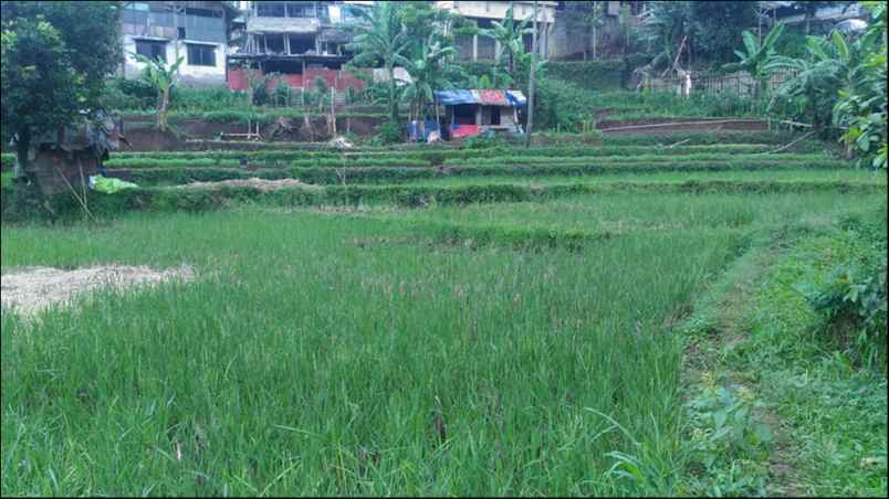tanah kampung cibaligo rt 002