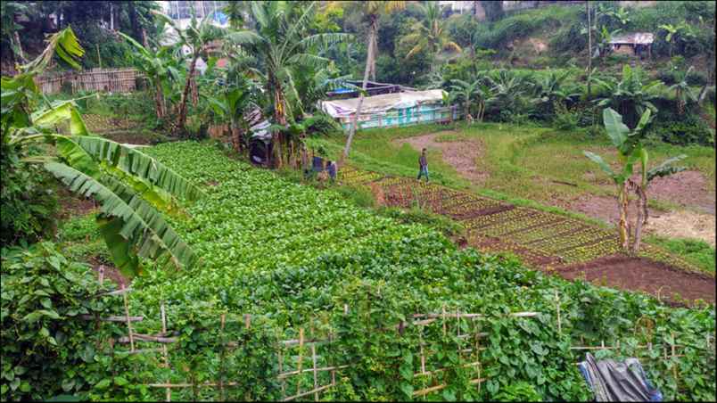 tanah kampung cibaligo rt 002