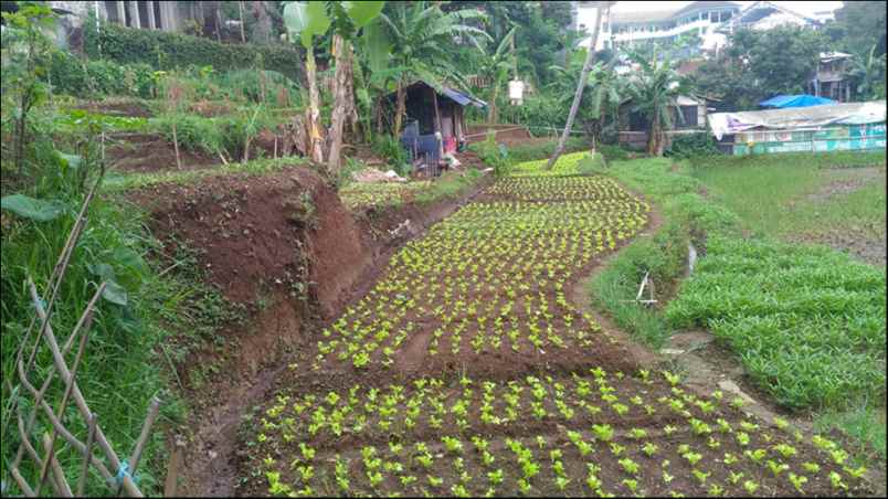 tanah kampung cibaligo rt 002