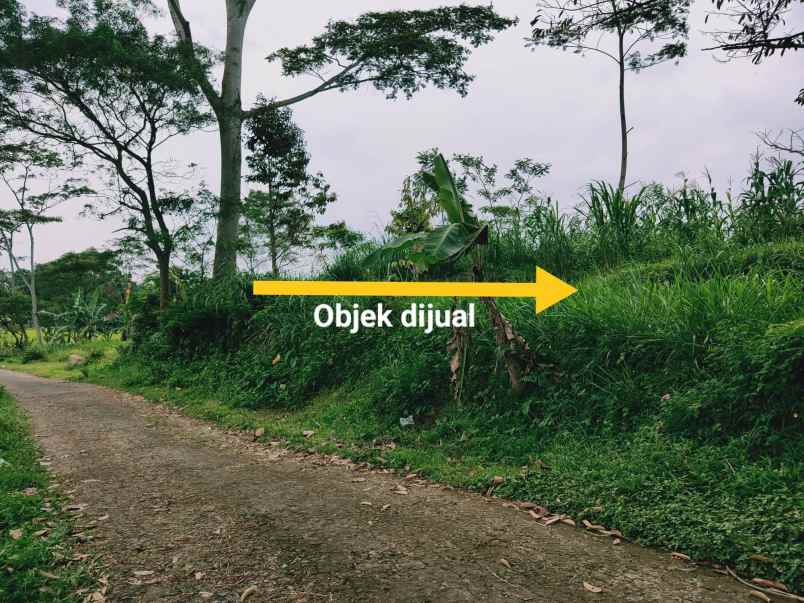 tanah karangpandan karanganyar