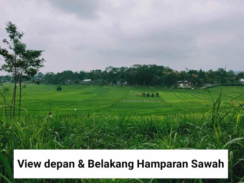 tanah karangpandan karanganyar