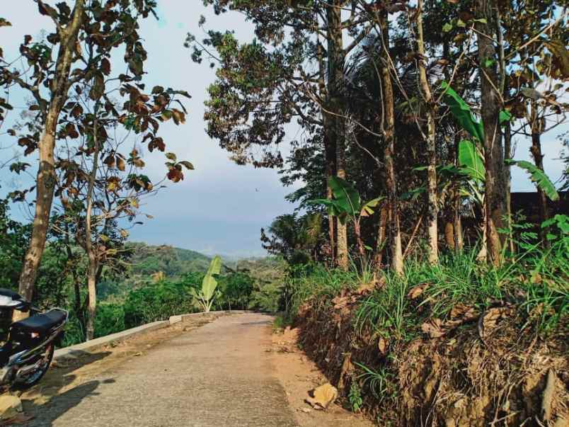 tanah kemuning ngargoyoso