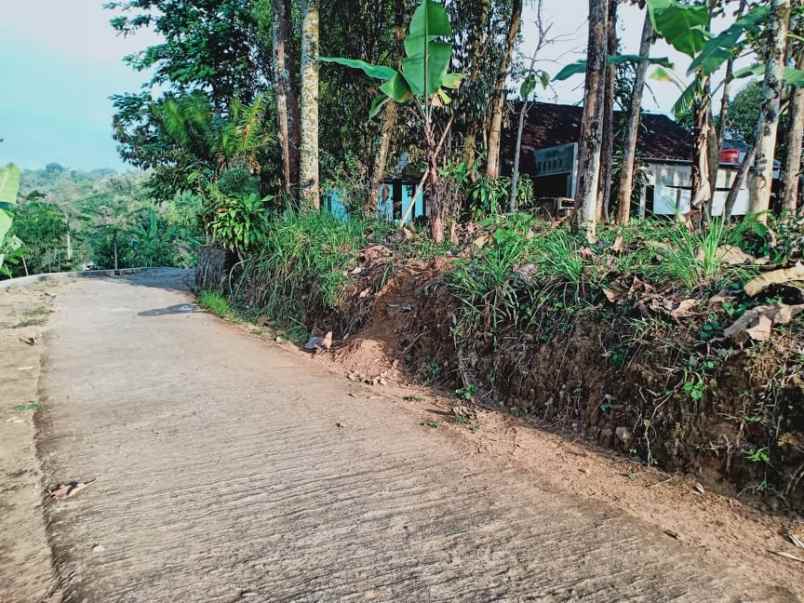 tanah kemuning ngargoyoso