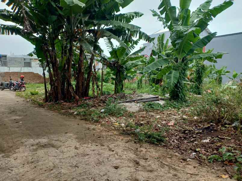 tanah kodau jatimekar pondok