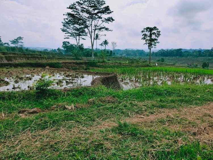 tanah kota wisata barat pasar