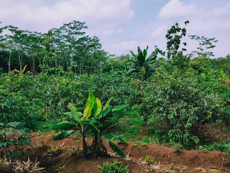 tanah kota wisata barat pasar